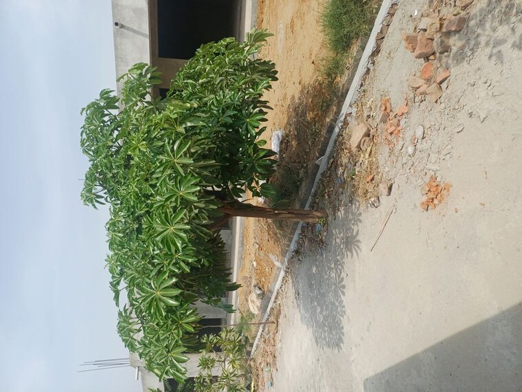 Exterior View, jewar  111 Sq.Yd. Plot In Jewar Greater Noida 10182639