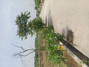  Plot – Exterior View View at Jewar - for Sale