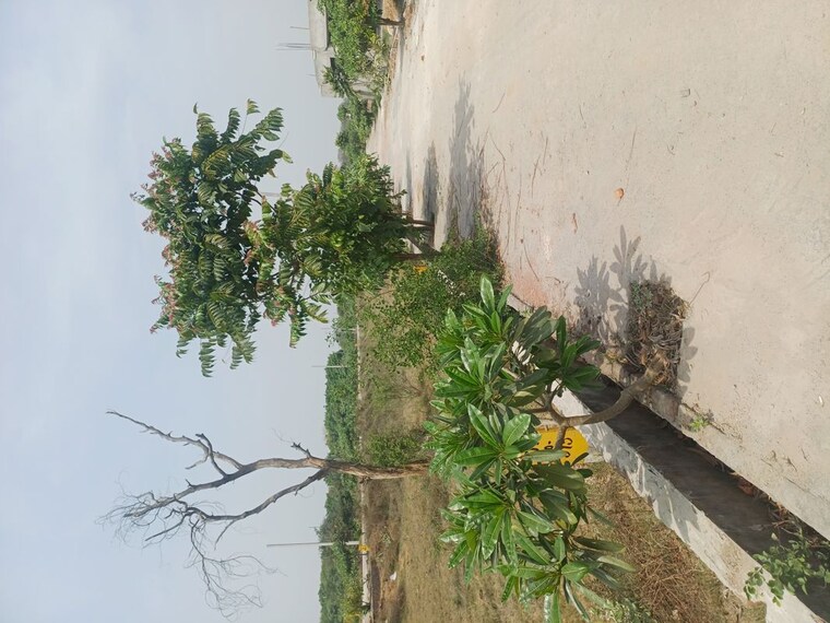 Exterior View, jewar  113 Sq.Yd. Plot In Jewar Greater Noida 10182730