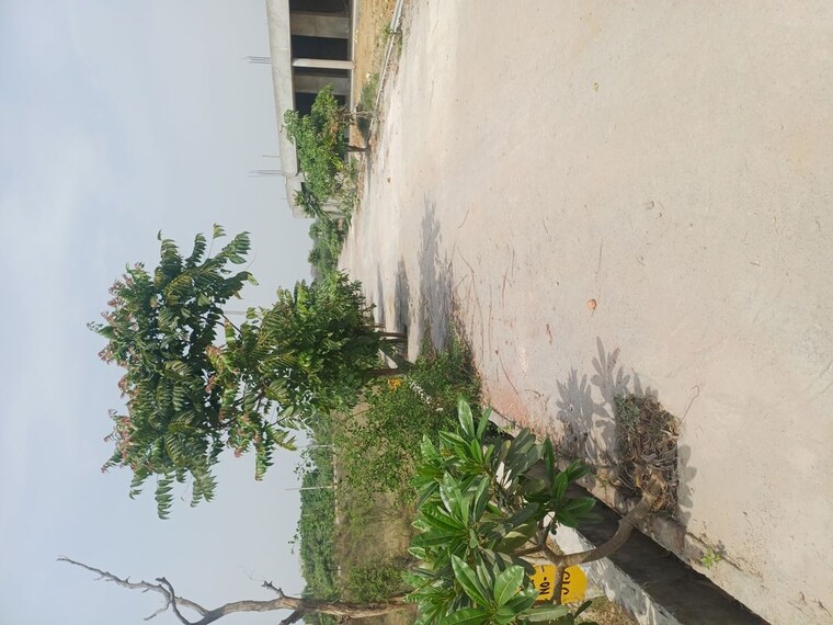 Exterior View, jewar  115 Sq.Yd. Plot In Jewar Greater Noida 10182764