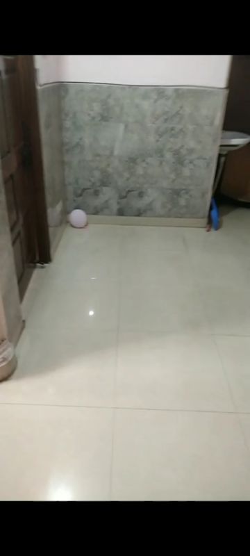2 BHK + Pooja Room Builder Floor For Rent in Sector 40