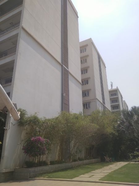 3.5 BHK + Pooja Room,Servant Room Apartment For Rent in NR Orchid Gardenia