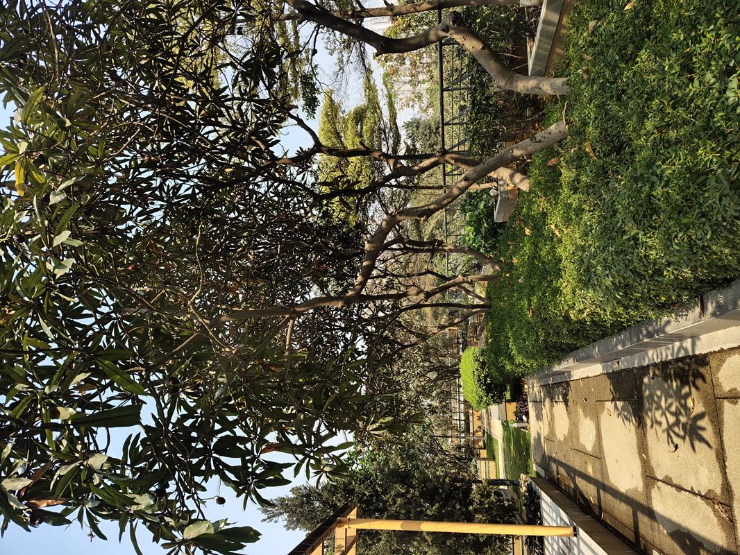 2 BHK + Pooja Room Apartment For Rent in My Home Avatar