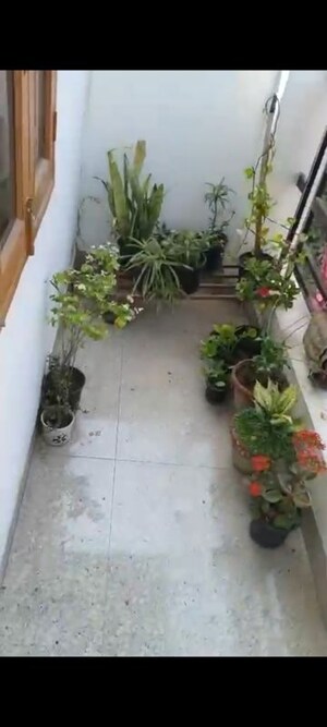 Balcony in 2 BHK Builder Floor at Sector 40 – for Rent