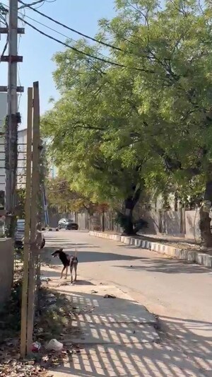 3 BHK Independent House – Exterior View View at South City - for Sale