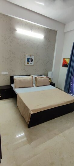 1 BHK Apartment For Rent in Wadgaon Sheri