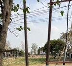 4300 Sq.Ft. Plot in Kanker Khera