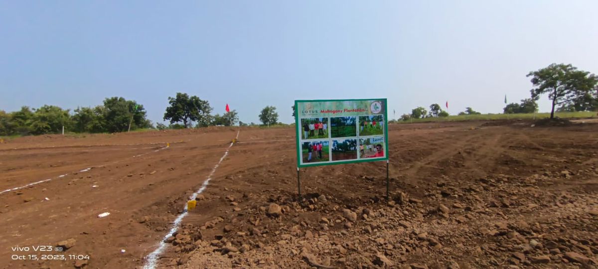 Plot For Sale in Sector 15