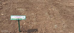 Plot For Sale in Sector 15
