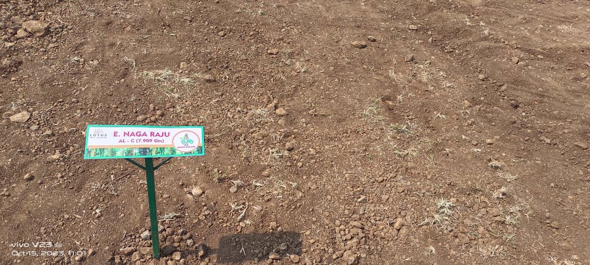 Plot For Sale in Sector 15