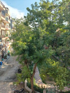 1 BHK + Pooja Room Builder Floor For Rent in Kohli One Malibu Town