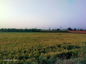 Plot Area in  Land at Kanauja – for Sale