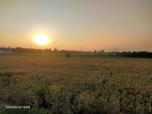 Plot Area in  Land at Kanauja – for Sale