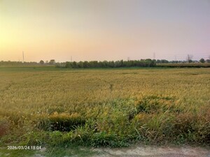 Plot Area in  Land at Kanauja – for Sale