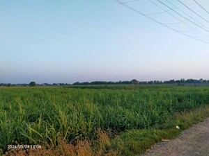 Plot Area in  Land at Kanauja – for Sale