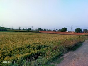 Plot Area in  Land at Kanauja – for Sale