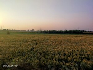 Plot Area in  Land at Kanauja – for Sale