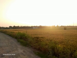  Land For Sale in Kanauja