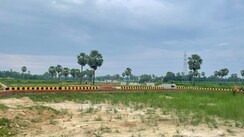 Plot For Sale in Wave City
