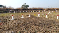 Plot For Sale in Dighode