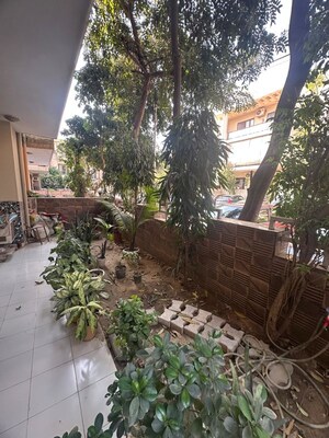 Balcony in 3 BHK Apartment at SS Mayfield Gardens, Sector 51 – for Rent