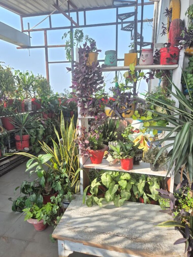 Balcony, gomti nagar 1.5 Bedroom 800 Sq.Ft. Apartment In Gomti Nagar Lucknow 10188902