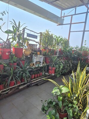 1.5 BHK Apartment – Exterior View View at Gomti Nagar - for Rent