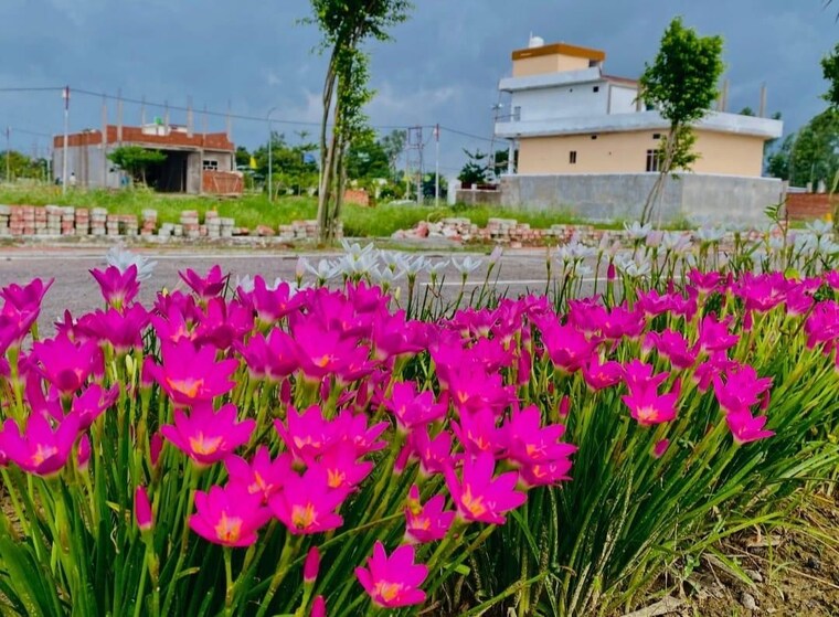 Garden, wing-lucknow-greens-plots  1800 Sq.Ft. Plot In Sultanpur Road Lucknow 10182013