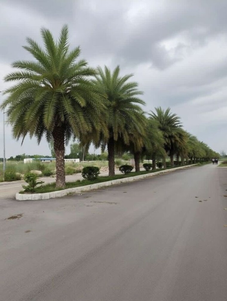 Exterior View, wing-lucknow-greens-plots  3200 Sq.Ft. Plot In Sultanpur Road Lucknow 10189152