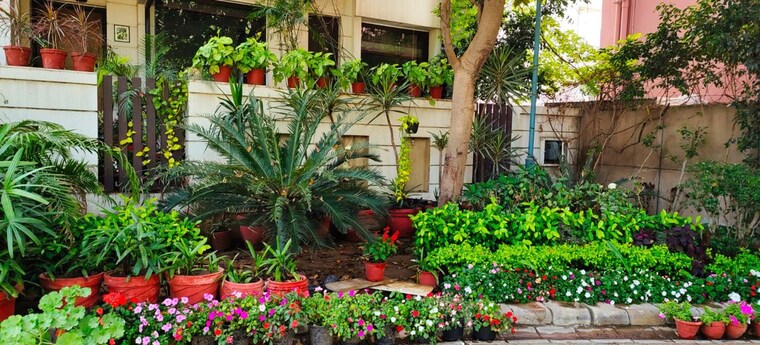 Garden, kohli-one-malibu-town 3 Bedroom 2000 Sq.Ft. Builder Floor In Sector 47 Gurgaon 10189305