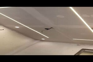 Room in 1.5 BHK Independent House at Awadh Complex, Yahiyaganj – for Sale