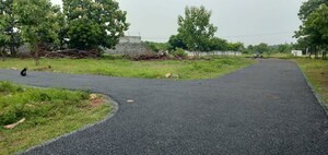 Plot Area in  Plot at Veppampattu – for Sale