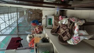 Balcony in 2 BHK Builder Floor at Aditya World City, Shahpur Bamheta – for Sale