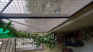 2 BHK Builder Floor For Sale in Aditya World City, Shahpur Bamheta