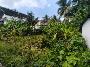 Plot Area in  Plot at Maradu – for Sale