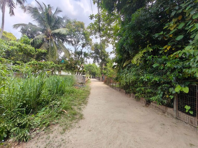 undefined, maradu  3484 Sq.Ft. Plot In Maradu Kochi 10181985