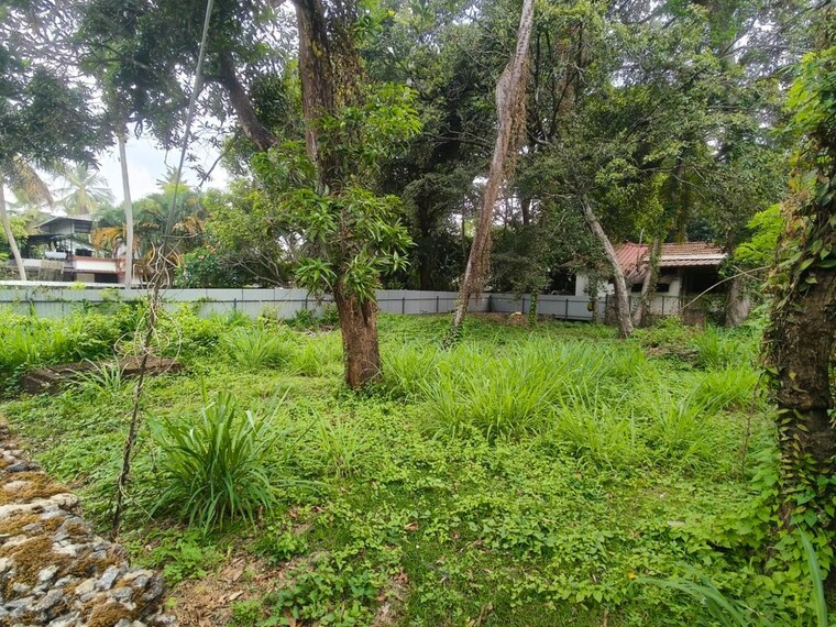 Garden, maradu  3484 Sq.Ft. Plot In Maradu Kochi 10181985