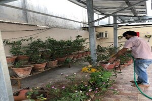 2 BHK Builder Floor – Exterior View View at Greater Kailash ii - for Rent