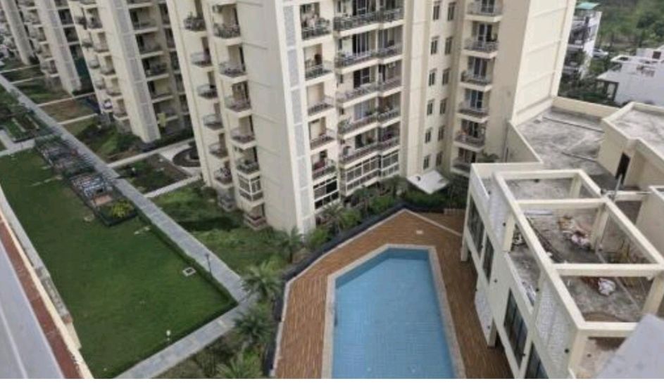 3 BHK + Pooja Room 1610 Sq.Ft. Apartment in Omega Windsor Greens