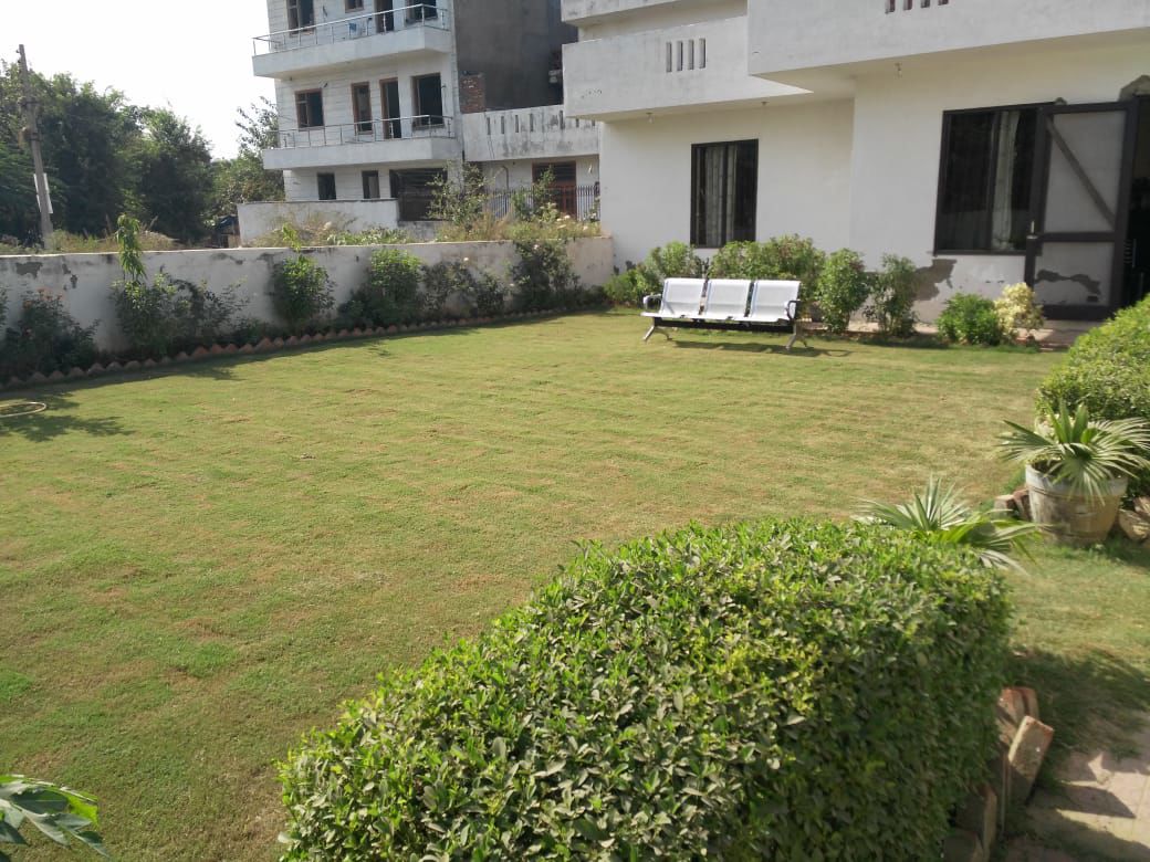 2 BHK + Study Room Independent House For Rent in Sector 40