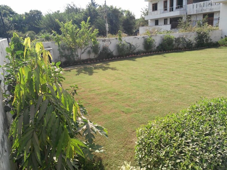 Garden, sector 40 2 Bedroom 2000 Sq.Ft. Independent House In Sector 40 Gurgaon 10190359