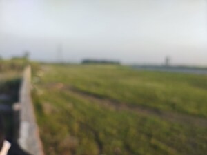  Land For Sale in Jani