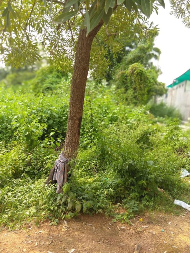 Garden, balaji-enclave-kothapet  270 Sq.Yd. Plot In Kothapet Hyderabad 10190448