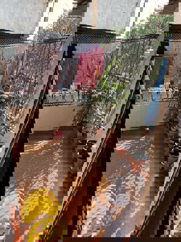 2 BHK 1200 Sq.Ft. Apartment in Shiva Heights