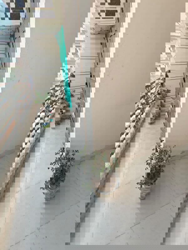 1 BHK + Pooja Room 800 Sq.Ft. Builder Floor in AVA Court