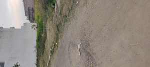  Plot For Sale in Mullanpur