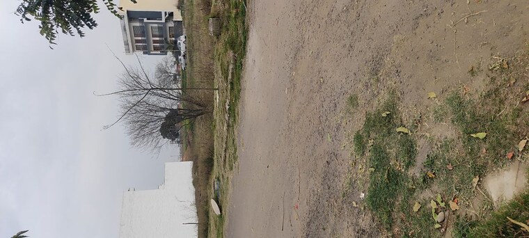 Exterior View, mullanpur  242 Sq.Yd. Plot In Mullanpur Chandigarh 10190818