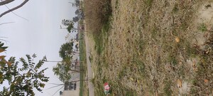Plot Area in  Plot at Mullanpur – for Sale