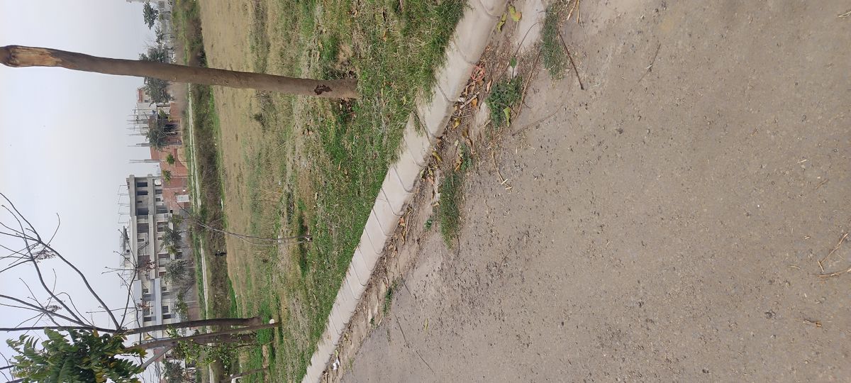 Plot For Sale in Mullanpur