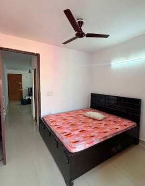 Pg For Rent in Gomti Nagar